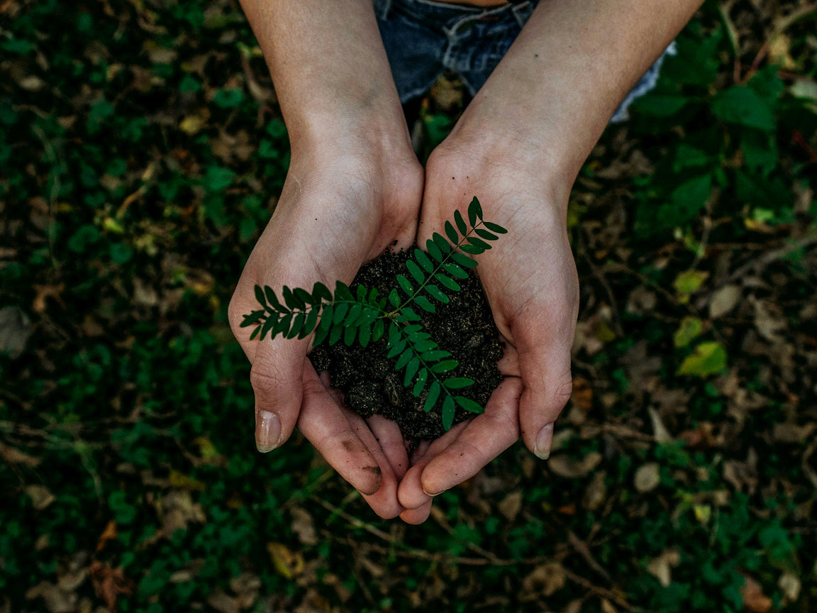 Sustainability | FLYCO 
