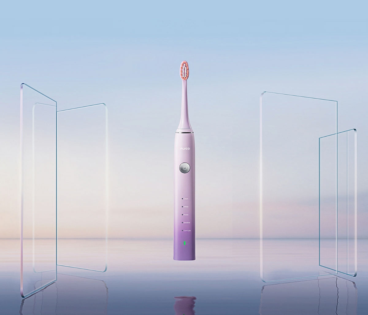 FLYCO Sonic Electric Toothbrush FT7105