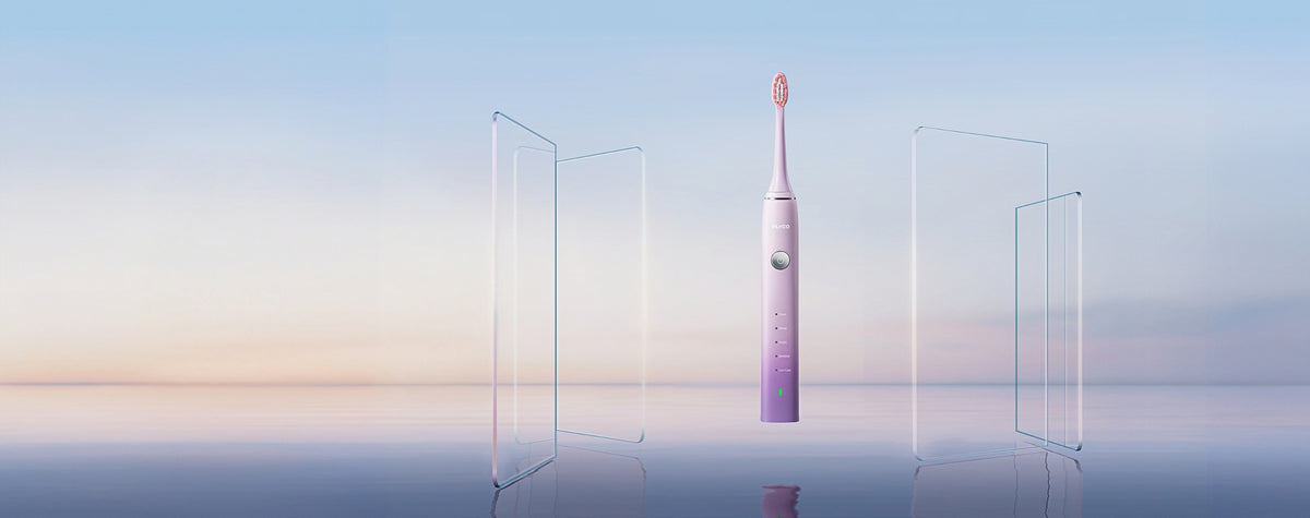 FLYCO Sonic Electric Toothbrush FT7105